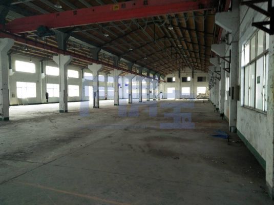 奉贤区大叶公路jrs超清直播_极速体育手机版_极速吧体育出租