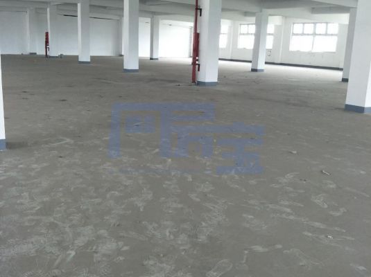 嘉定区嘉宝路jrs超清直播_极速体育手机版_极速吧体育出租