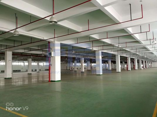 奉贤区南奉公路jrs超清直播_极速体育手机版_极速吧体育出租