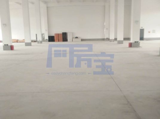 金山区环东一路jrs超清直播_极速体育手机版_极速吧体育出租