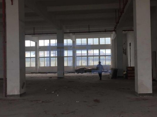 金山区廊华公路jrs超清直播_极速体育手机版_极速吧体育出租