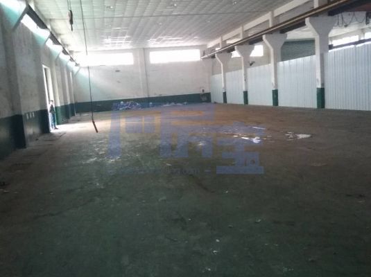 松江区大叶公路jrs超清直播_极速体育手机版_极速吧体育出租