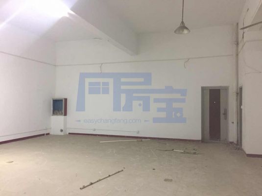 金山区板桥东路jrs超清直播_极速体育手机版_极速吧体育出租